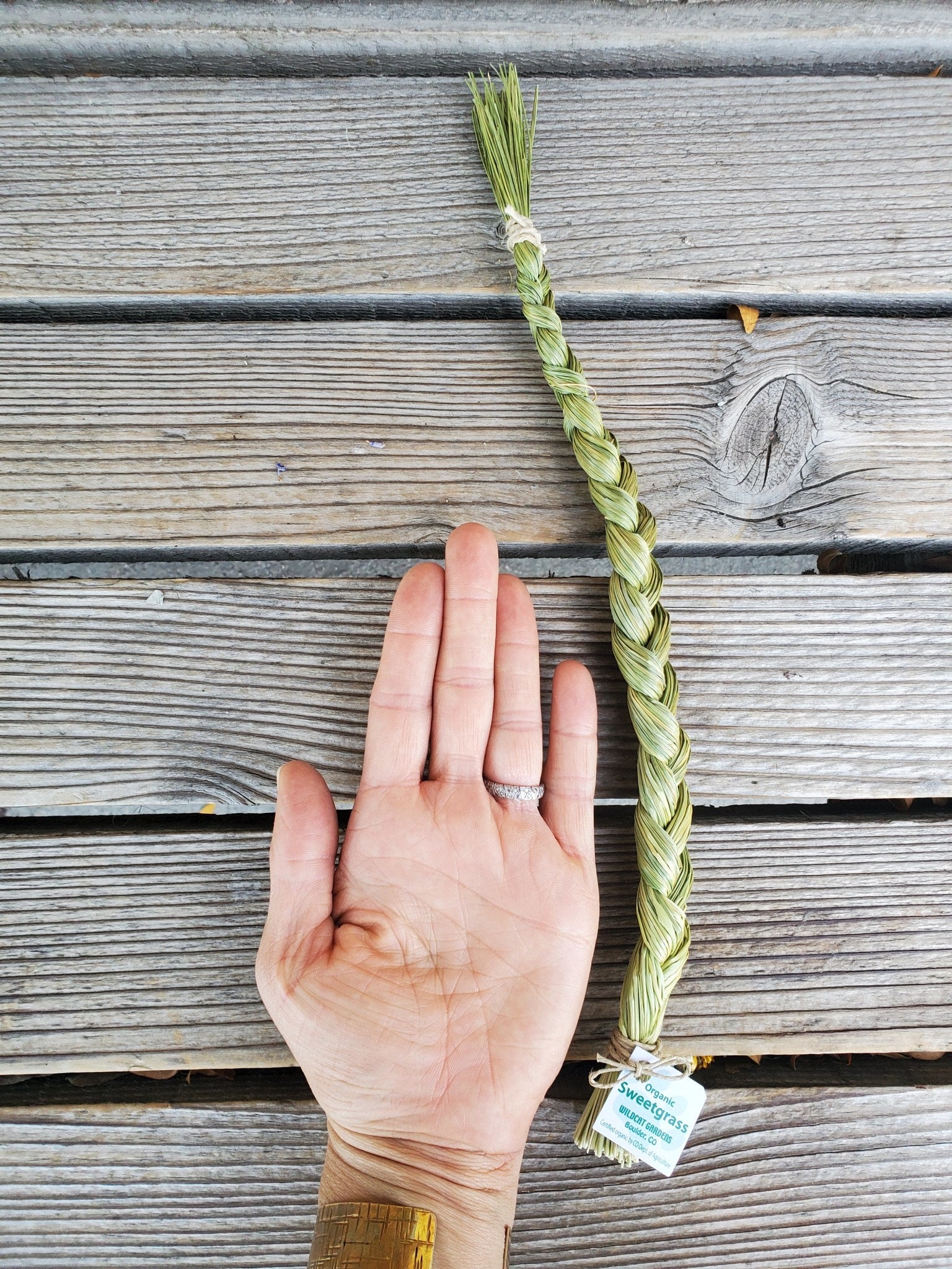 Sweetgrass Sweetgrass Braid – Golden Poppy Herbal Apothecary