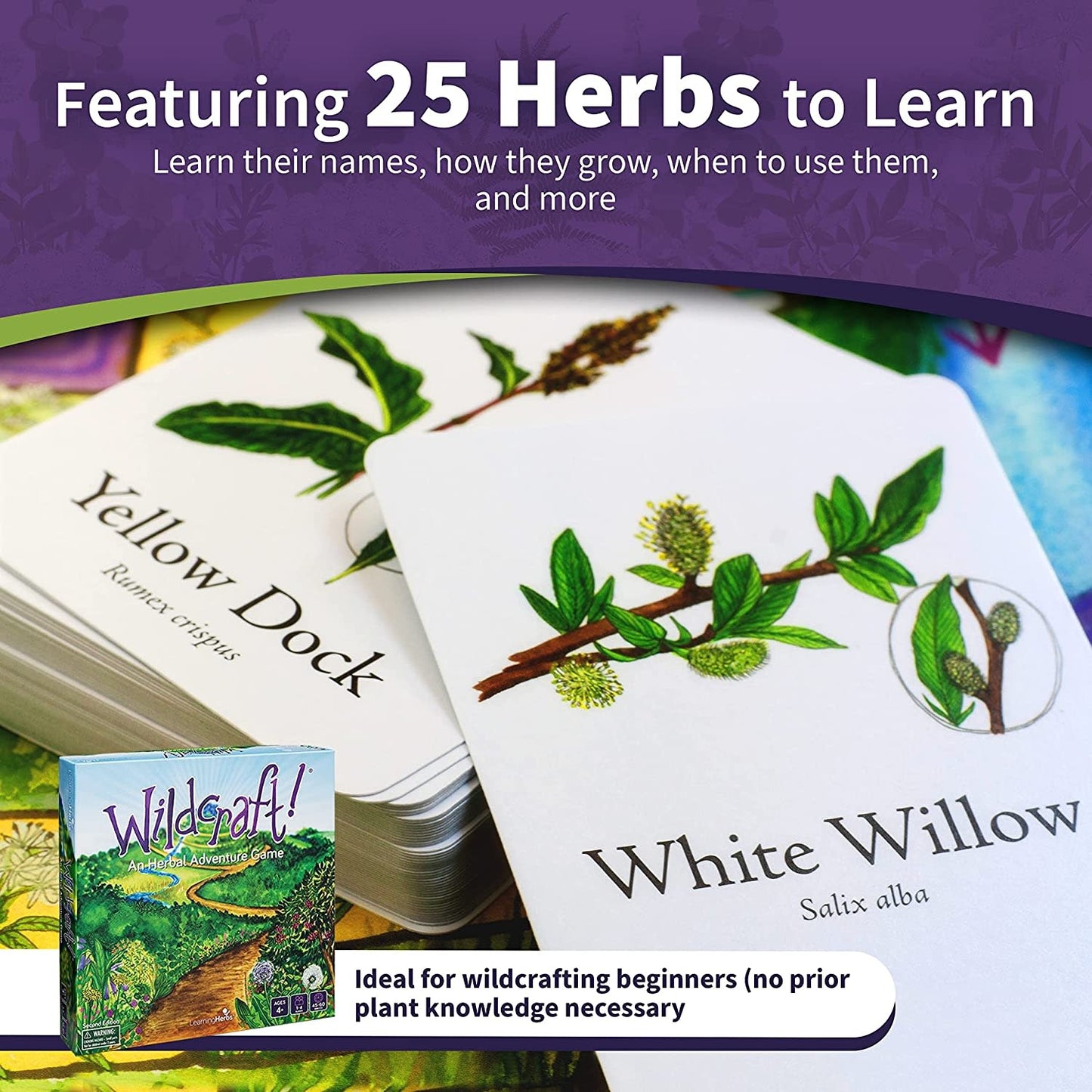 Wildcraft! Board Game - Learning Herbs