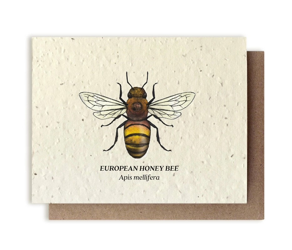 Plantable Seed Card -